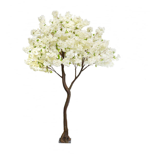 Arbre Pommier en fleurs blanches